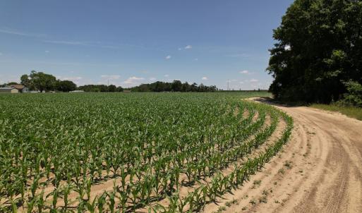 Photo #18 of SOLD property in Off Fodiesville Road, Shannon, NC 4.8 acres