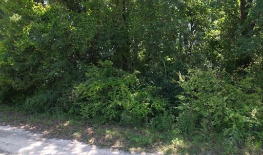 Photo #19 of SOLD property in Off Fodiesville Road, Shannon, NC 4.8 acres