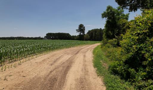 Photo #20 of SOLD property in Off Fodiesville Road, Shannon, NC 4.8 acres
