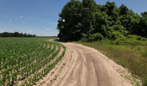 Photo #4 of SOLD property in Off Fodiesville Road, Shannon, NC 4.8 acres