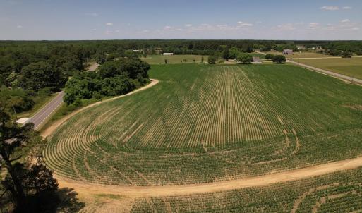 Photo #21 of SOLD property in Off Fodiesville Road, Shannon, NC 4.8 acres