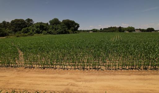 Photo #22 of SOLD property in Off Fodiesville Road, Shannon, NC 4.8 acres