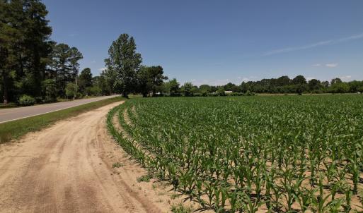 Photo #24 of SOLD property in Off Fodiesville Road, Shannon, NC 4.8 acres