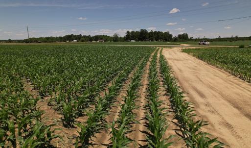 Photo #13 of SOLD property in Off Shannon Road, Shannon, NC 3.5 acres