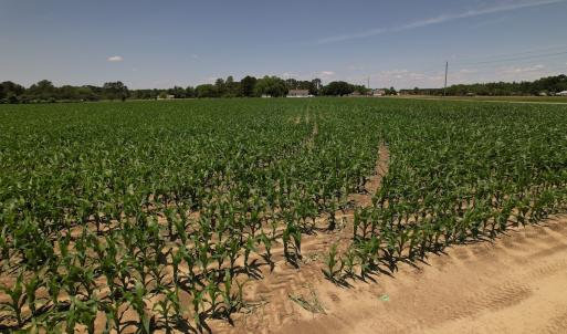 Photo #16 of SOLD property in Off Shannon Road, Shannon, NC 3.5 acres