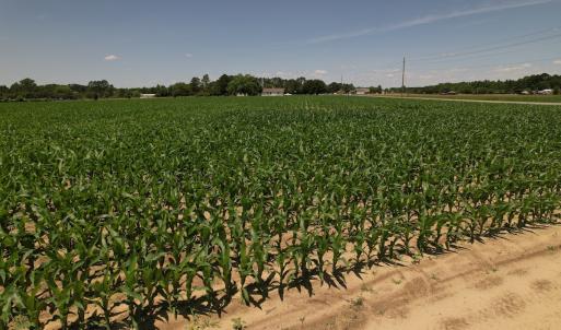 Photo #3 of SOLD property in Off Shannon Road, Shannon, NC 3.5 acres