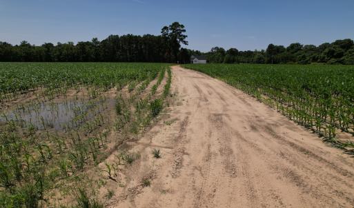 Photo #8 of SOLD property in Off Shannon Road, Shannon, NC 3.5 acres