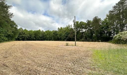 Photo #6 of 368 Greenbriar Rd, Walkerton, VA 9.5 acres