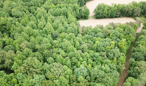 Photo #9 of 368 Greenbriar Rd, Walkerton, VA 9.5 acres