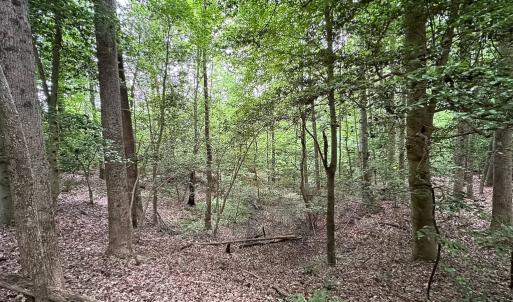 Photo #21 of 368 Greenbriar Rd, Walkerton, VA 9.5 acres