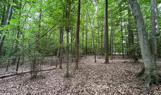 Photo #22 of 368 Greenbriar Rd, Walkerton, VA 9.5 acres