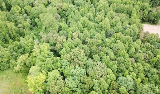 Photo #32 of 368 Greenbriar Rd, Walkerton, VA 9.5 acres