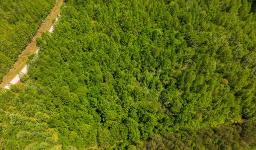 Photo #19 of SOLD property in Lot-2 - Off Wilson Road, Providence, NC 6.2 acres