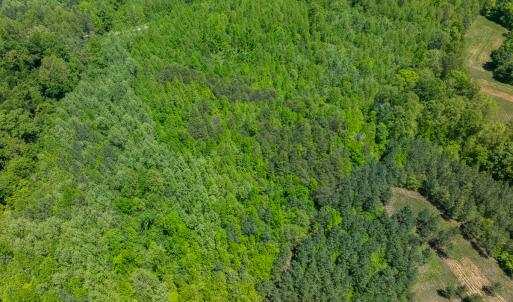 Photo #25 of SOLD property in Lot-2 - Off Wilson Road, Providence, NC 6.2 acres