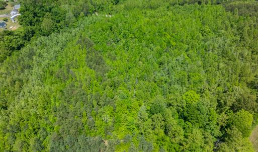 Photo #27 of SOLD property in Lot-2 - Off Wilson Road, Providence, NC 6.2 acres