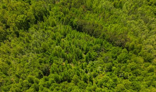 Photo #33 of SOLD property in Lot-2 - Off Wilson Road, Providence, NC 6.2 acres