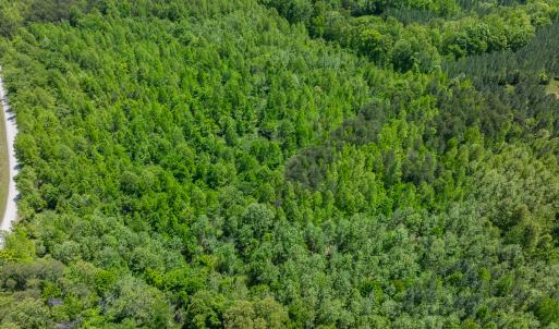 Photo #34 of SOLD property in Lot-2 - Off Wilson Road, Providence, NC 6.2 acres
