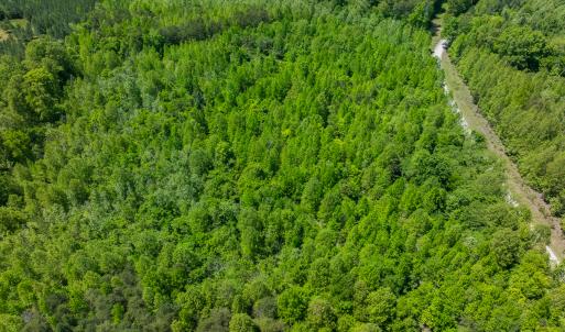 Photo #7 of SOLD property in Lot-3 - Off Wilson Road, Providence, NC 5.0 acres