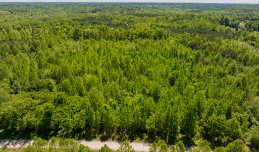 Photo #8 of SOLD property in Lot-3 - Off Wilson Road, Providence, NC 5.0 acres
