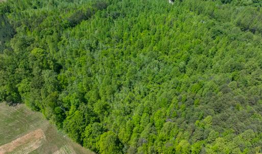 Photo #12 of SOLD property in Lot-3 - Off Wilson Road, Providence, NC 5.0 acres