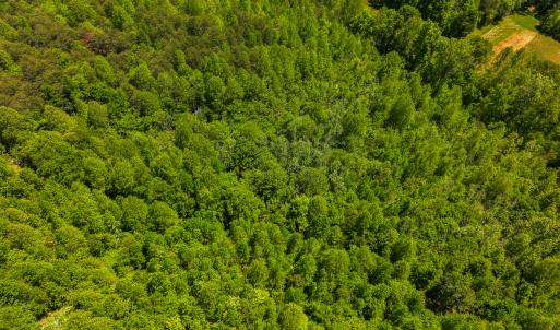 Photo #20 of SOLD property in Lot-3 - Off Wilson Road, Providence, NC 5.0 acres
