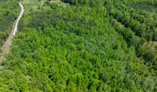 Photo #21 of SOLD property in Lot-3 - Off Wilson Road, Providence, NC 5.0 acres