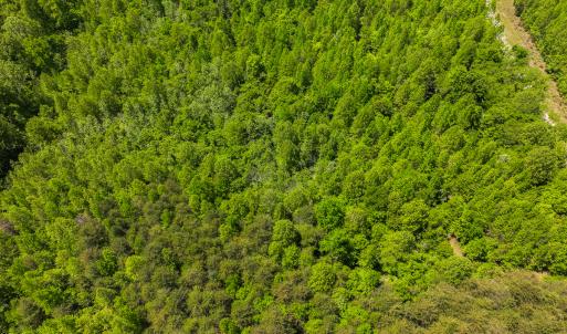 Photo #27 of SOLD property in Lot-3 - Off Wilson Road, Providence, NC 5.0 acres