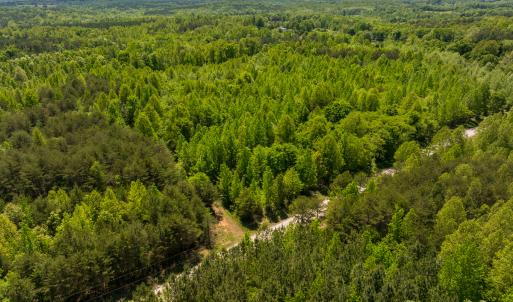 Photo #31 of SOLD property in Lot-3 - Off Wilson Road, Providence, NC 5.0 acres