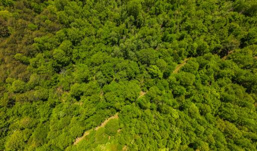 Photo #32 of SOLD property in Lot-3 - Off Wilson Road, Providence, NC 5.0 acres