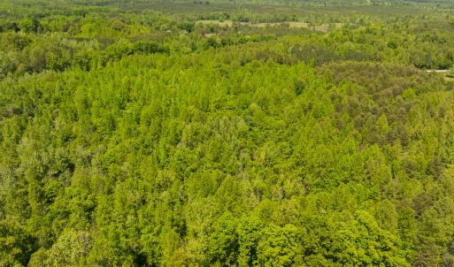 Photo #34 of SOLD property in Lot-3 - Off Wilson Road, Providence, NC 5.0 acres