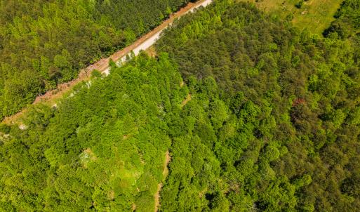 Photo #35 of SOLD property in Lot-3 - Off Wilson Road, Providence, NC 5.0 acres