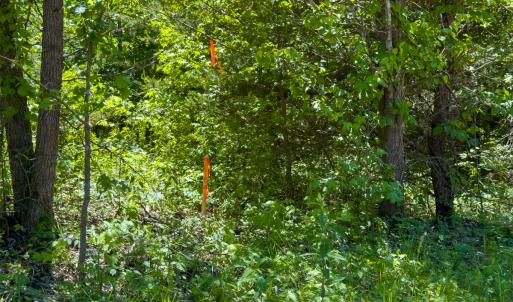 Photo #12 of SOLD property in Lot-4 - Off Wilson Road, Providence, NC 5.7 acres