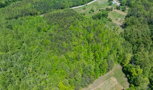 Photo #15 of SOLD property in Lot-4 - Off Wilson Road, Providence, NC 5.7 acres