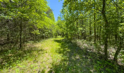 Photo #18 of SOLD property in Lot-4 - Off Wilson Road, Providence, NC 5.7 acres