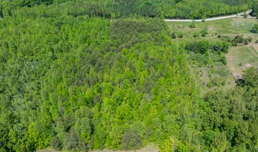 Photo #19 of SOLD property in Lot-4 - Off Wilson Road, Providence, NC 5.7 acres
