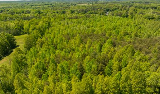 Photo #20 of SOLD property in Lot-4 - Off Wilson Road, Providence, NC 5.7 acres