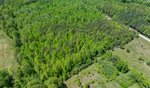 Photo #21 of SOLD property in Lot-4 - Off Wilson Road, Providence, NC 5.7 acres