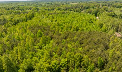 Photo #27 of SOLD property in Lot-4 - Off Wilson Road, Providence, NC 5.7 acres