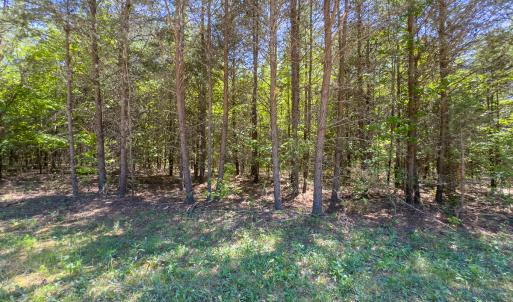 Photo #30 of SOLD property in Lot-4 - Off Wilson Road, Providence, NC 5.7 acres