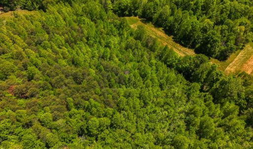 Photo #32 of SOLD property in Lot-4 - Off Wilson Road, Providence, NC 5.7 acres