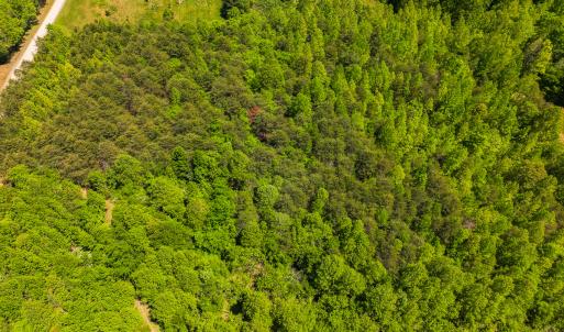 Photo #33 of SOLD property in Lot-4 - Off Wilson Road, Providence, NC 5.7 acres