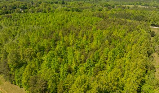 Photo #38 of SOLD property in Lot-4 - Off Wilson Road, Providence, NC 5.7 acres