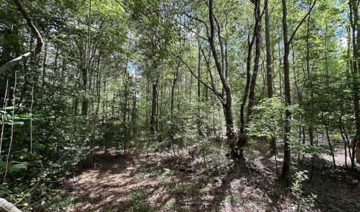 Photo #3 of Off Bobcat Ln, Franklin, VA 30.0 acres
