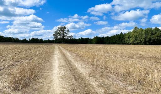 Photo #4 of Off Bobcat Ln, Franklin, VA 30.0 acres
