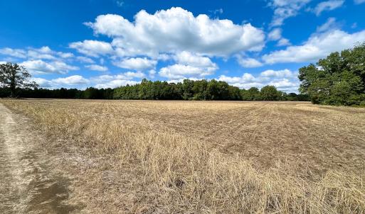 Photo #5 of Off Bobcat Ln, Franklin, VA 30.0 acres