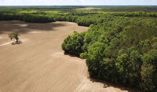 Photo #6 of Off Bobcat Ln, Franklin, VA 30.0 acres
