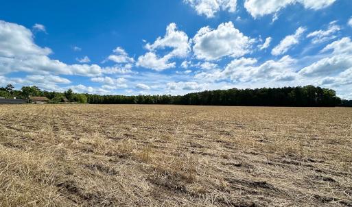 Photo #7 of Off Bobcat Ln, Franklin, VA 30.0 acres