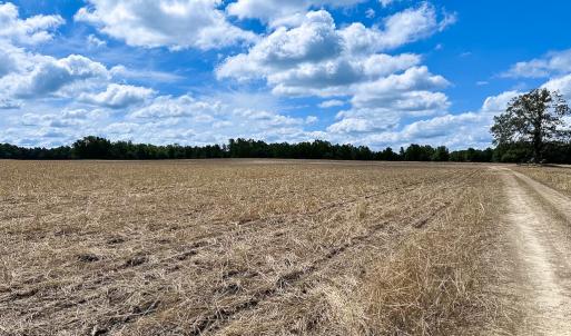 Photo #8 of Off Bobcat Ln, Franklin, VA 30.0 acres