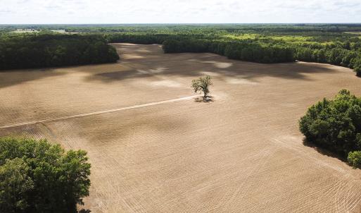 Photo #9 of Off Bobcat Ln, Franklin, VA 30.0 acres