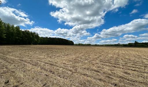Photo #11 of Off Bobcat Ln, Franklin, VA 30.0 acres